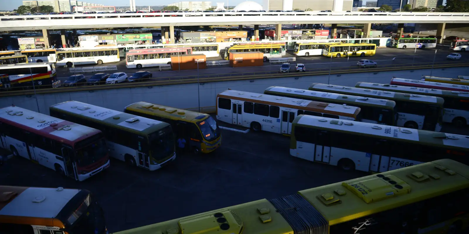 Ataques com pedras danificam dezenas de ônibus de empresa no Distrito Federal