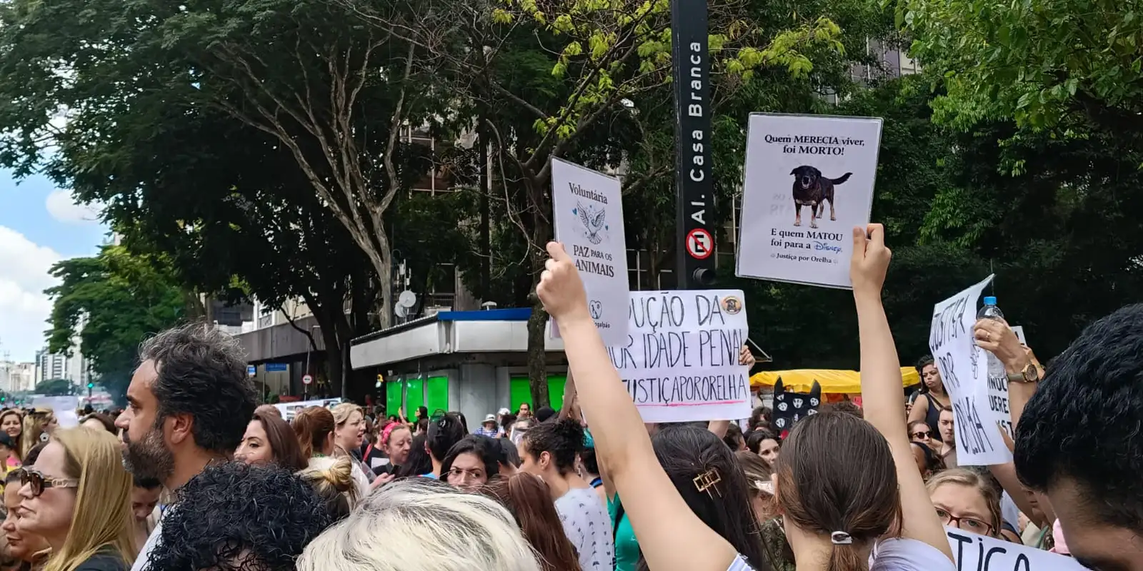 Manifestantes em São Paulo exigem justiça pela morte do cão Orelha