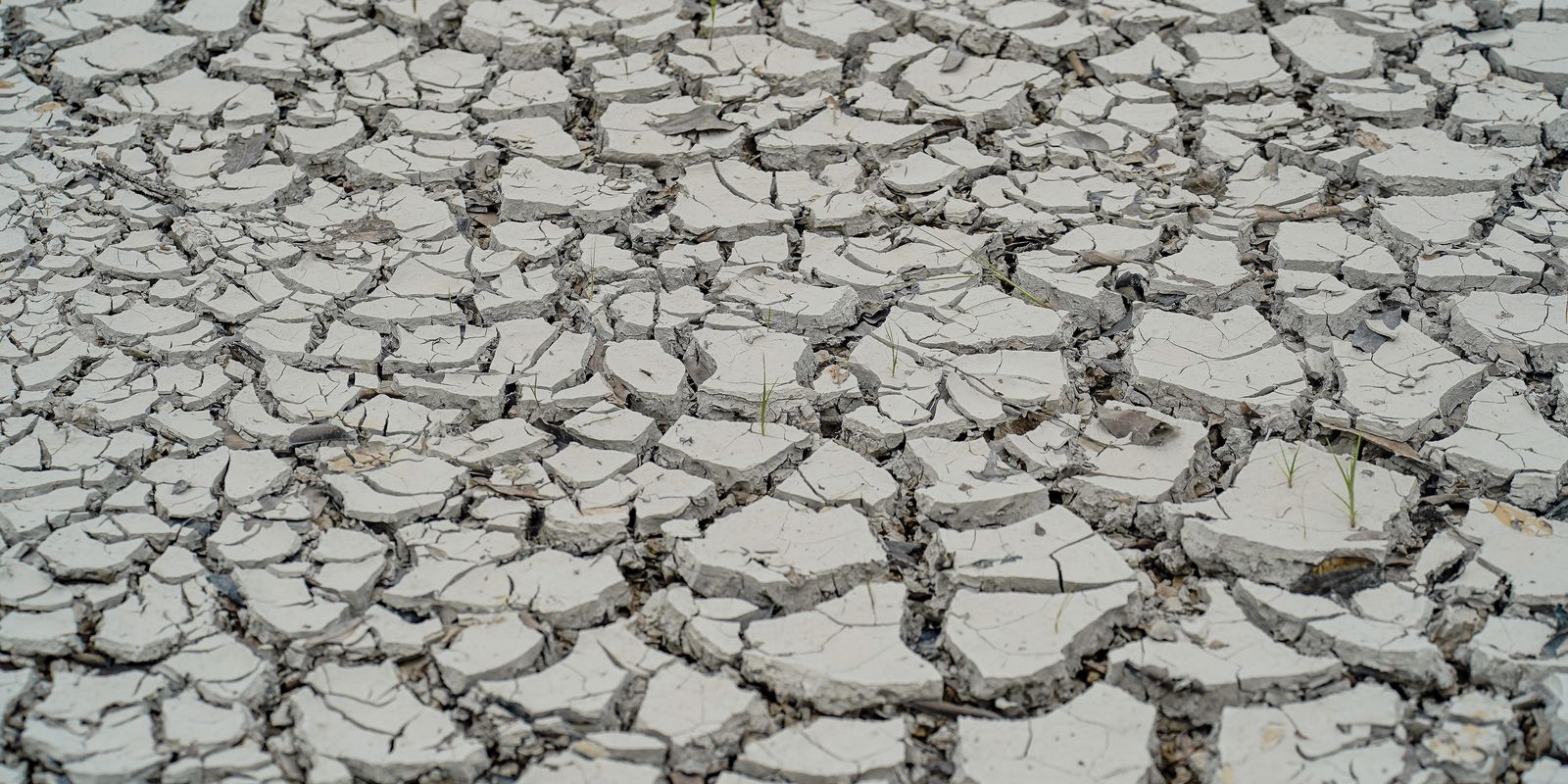 Quinze cidades do Nordeste têm situação de emergência decretada por estiagem