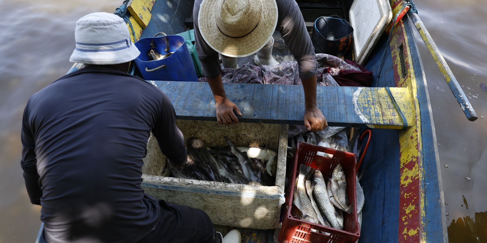 Pescadores beneficiados pelo Seguro-Defeso recebem sexto lote nesta terça-feira