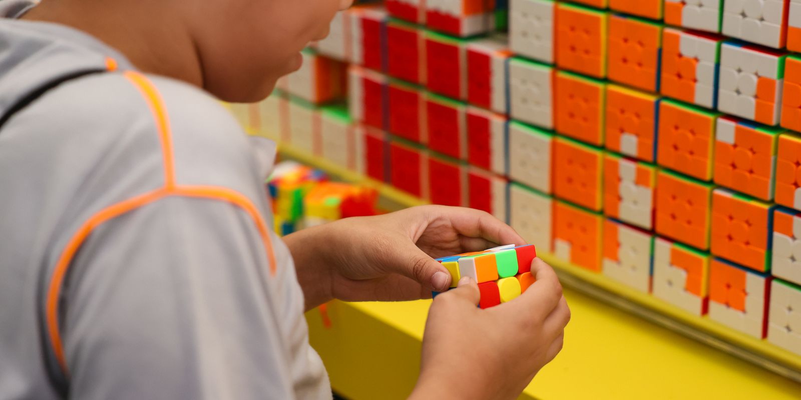 Primeira etapa do Censo da Educação Básica 2026 é iniciada em todo o país