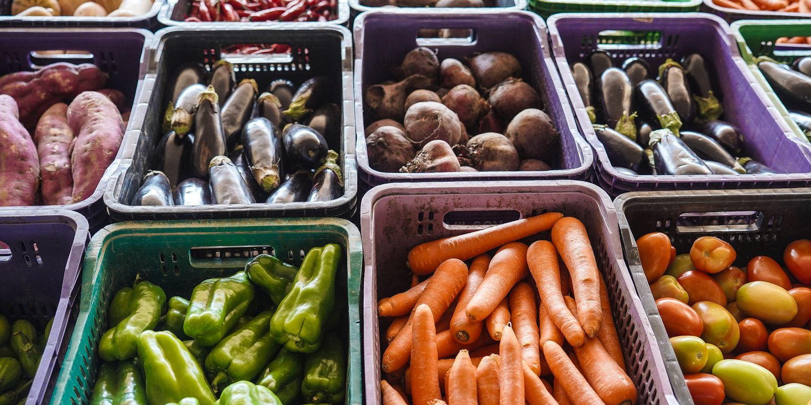 INCAvoluntário lança campanha para fortalecer o Programa Nutrir e apoiar pacientes oncológicos