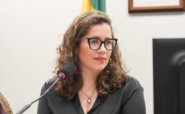 Câmara aprova restrição de incentivo público via Lei Rouanet para obras que incitam violência contra a mulher