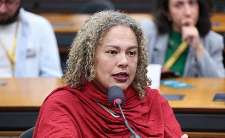Especialistas na Câmara debatem impacto das mudanças climáticas no patrimônio cultural