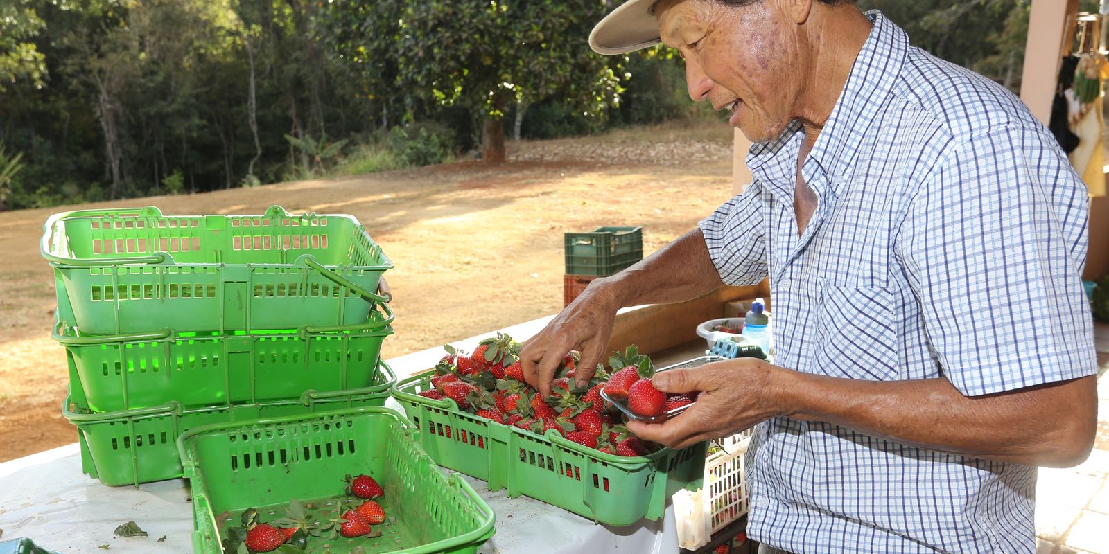 Finep destina R$ 220 milhões para inovação na agricultura familiar