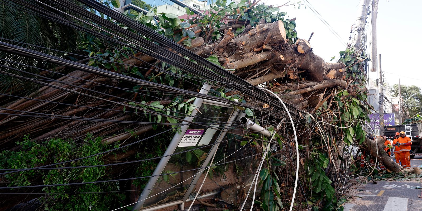 Falta de energia ainda afeta quase 280 mil clientes após vendaval no Rio