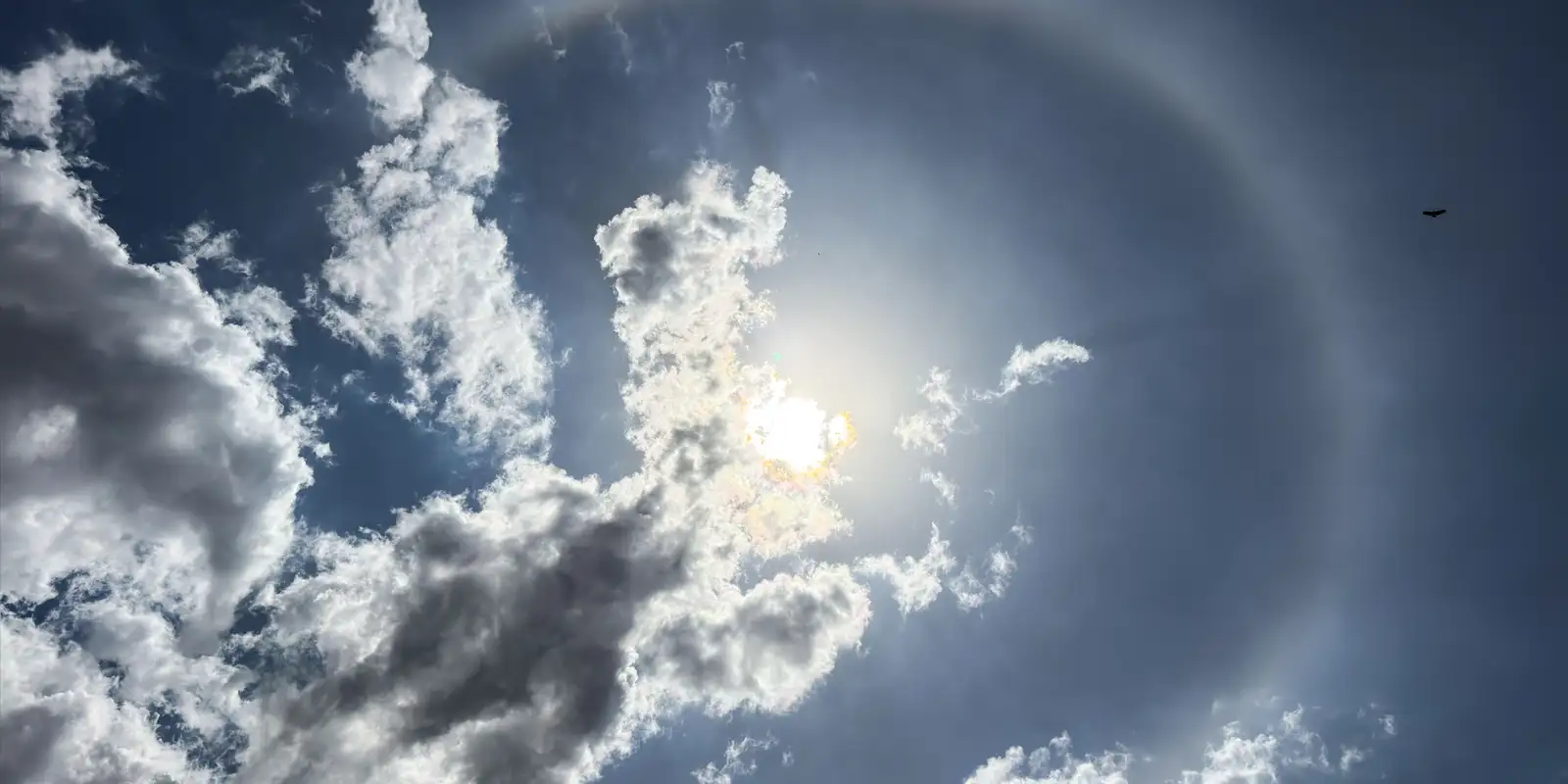 Entenda como se forma o halo solar e por que ele não é sinal de chuva
