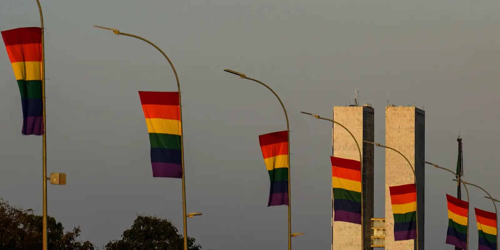 Brasil registra recorde de candidaturas LGBT+ nas eleições de 2026