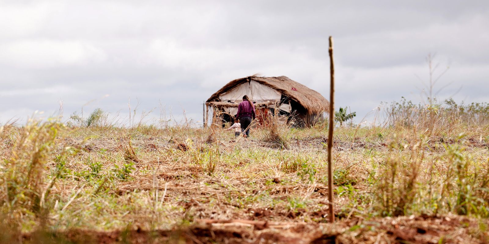 Aumentam os conflitos no campo no Brasil, mas número de assassinatos tem queda