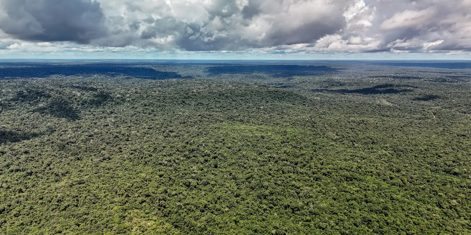 Ministério da Fazenda autoriza crédito de US$ 1 bi do BID para o Eco Invest Brasil