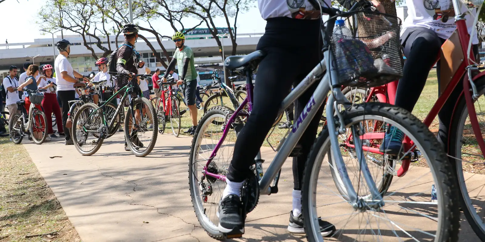 Justiça torna réus os cinco acusados pelo caso do ciclista morto no Rio