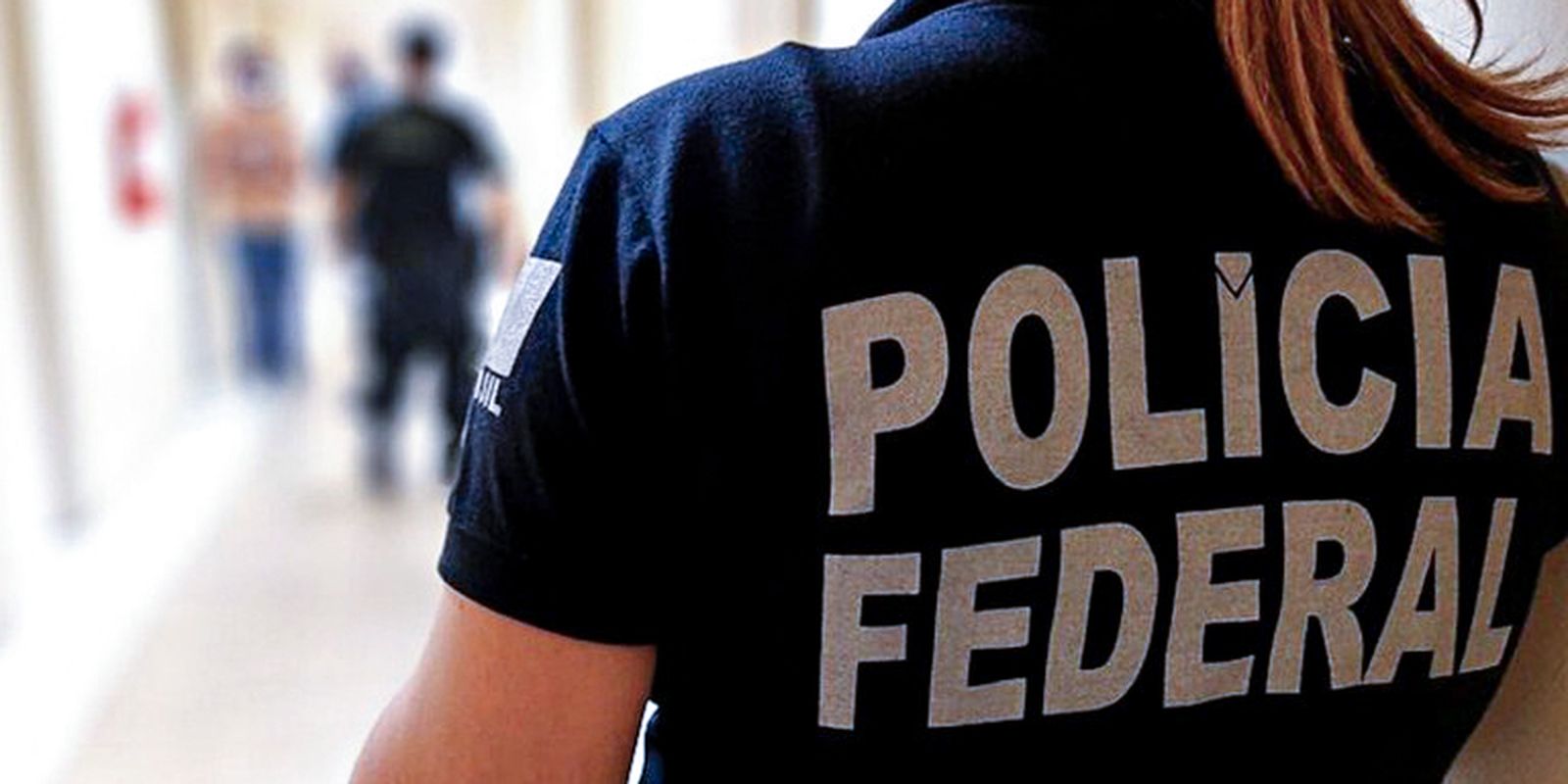 PF combate esquema de fraude no registro de armas para CACs