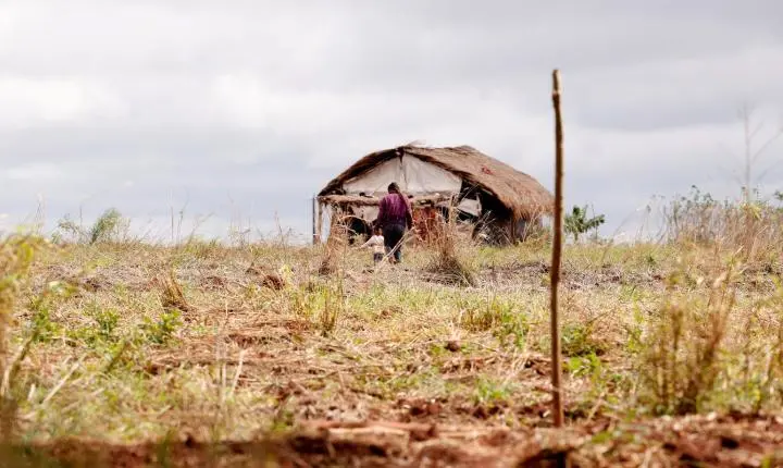 Aumentam os conflitos no campo no Brasil, mas número de assassinatos tem queda
