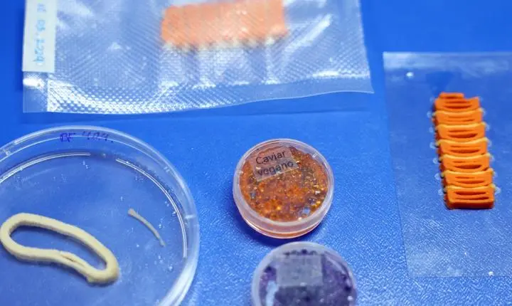 Embrapa desenvolve salmão, caviar e anéis de lula à base vegetal em laboratório