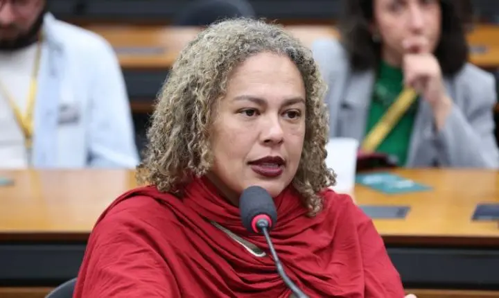 Especialistas na Câmara debatem impacto das mudanças climáticas no patrimônio cultural