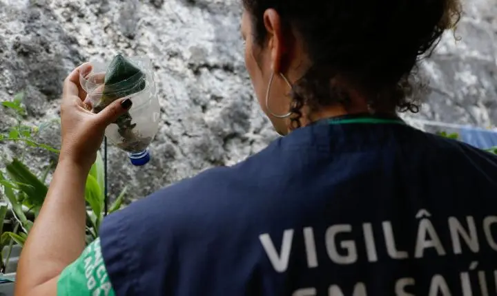 São Paulo registra mais de 58 mil casos de dengue neste ano